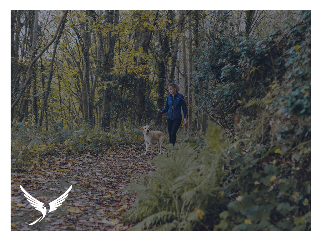 Woman and dog walking in nature